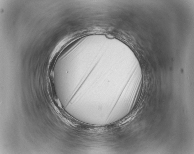 X0000057060102200510071417