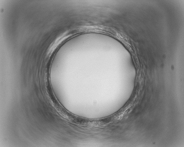 X0000057060103200510071417