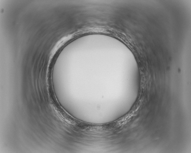 X0000057060104200510071417