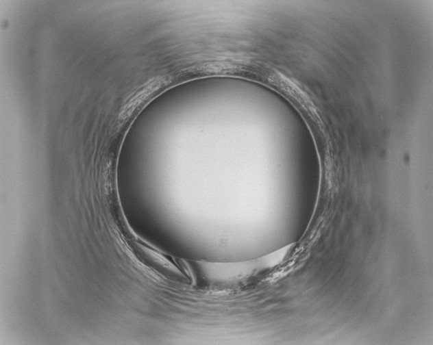 X0000057060105200510071417