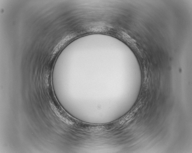 X0000057060106200510071417