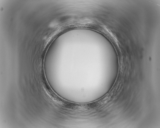 X0000057060107200510071417