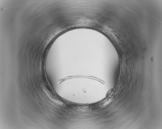 X0000057060108200510071417