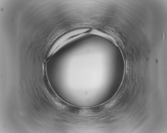 X0000057060109200510071417