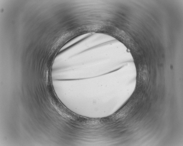 X0000057060110200510071417