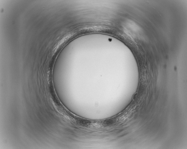 X0000057060111200510071417