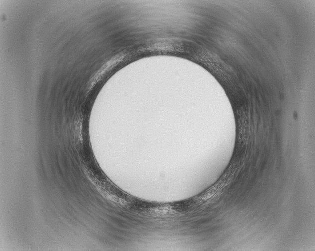 X0000057060112200510071417