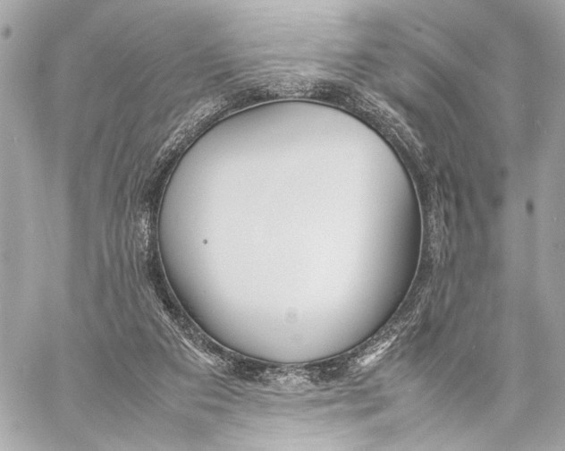 X0000057060113200510071417