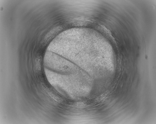 X0000057060114200510071417