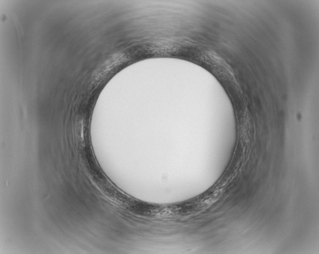 X0000057060115200510071417