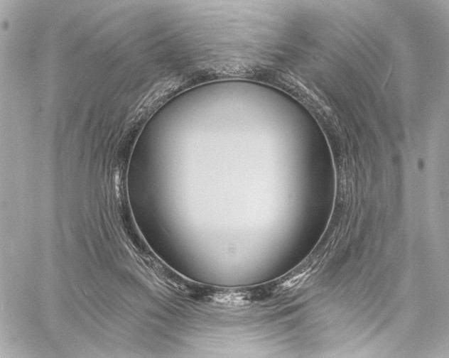 X0000057060117200510071417