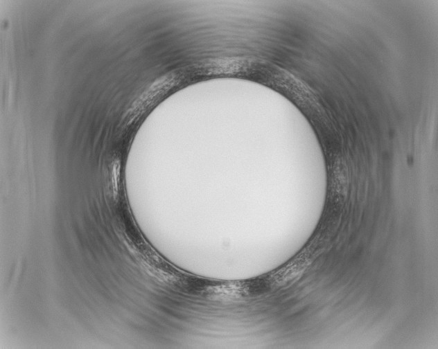 X0000057060118200510071417