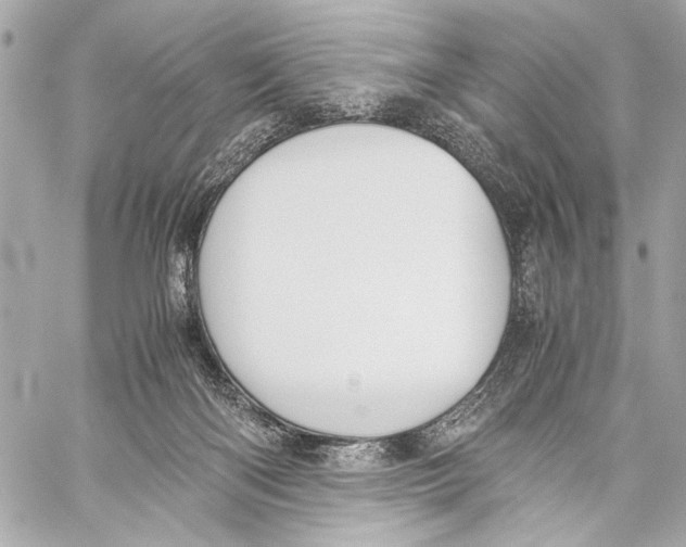 X0000057060122200510071416