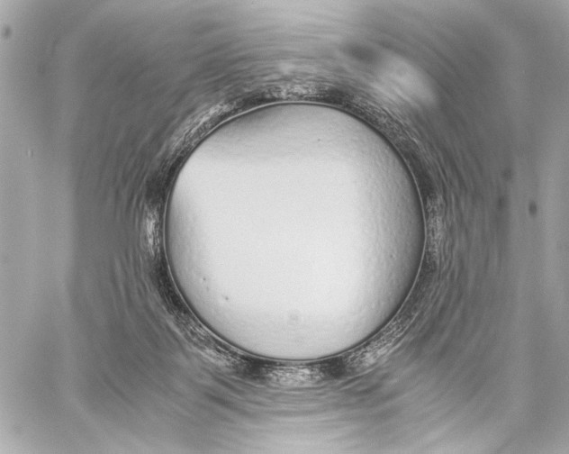 X0000057060123200510071416