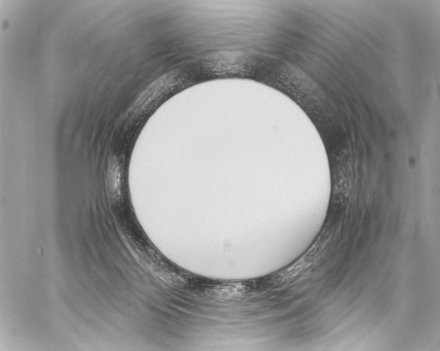 X0000057060124200510071416