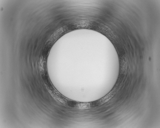 X0000057060126200510071416