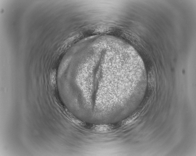 X0000057060127200510071416