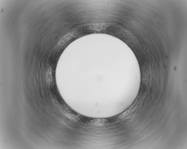 X0000057060128200510071416