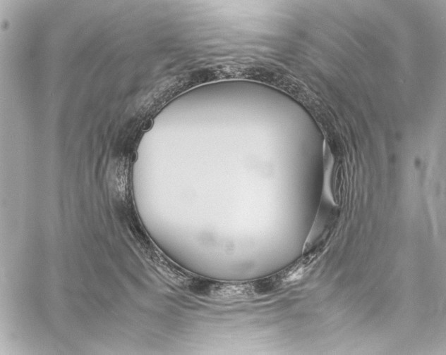 X0000057060129200510071416