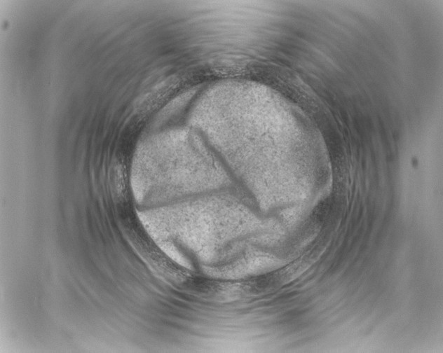 X0000057060130200510071416