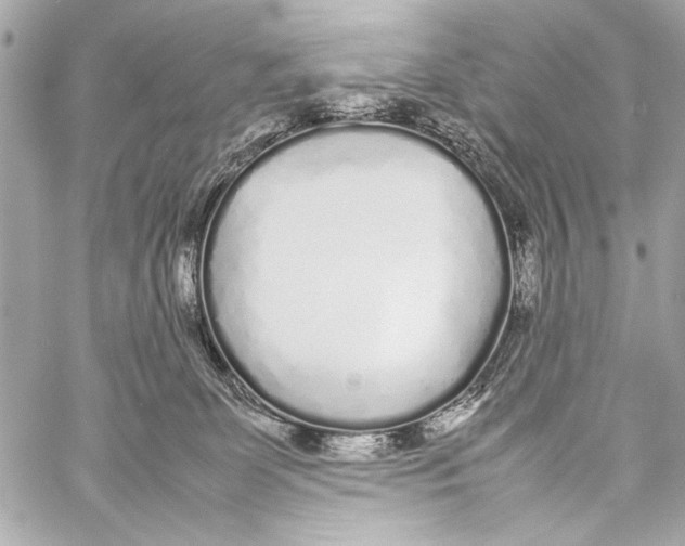 X0000057060131200510071416