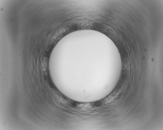 X0000057060133200510071416