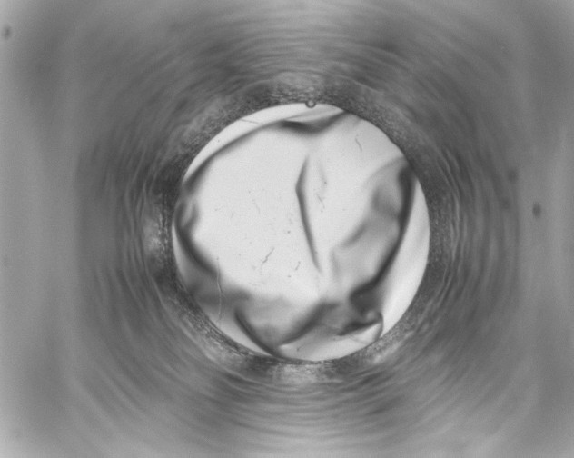 X0000057060134200510071416