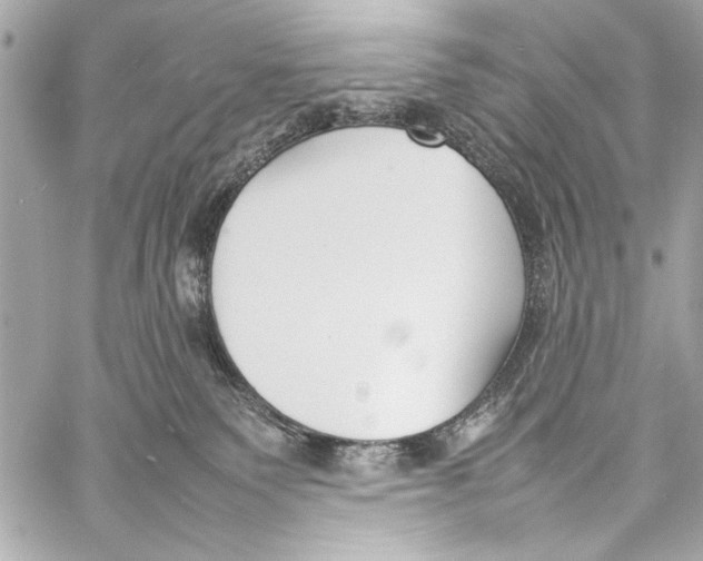 X0000057060135200510071416