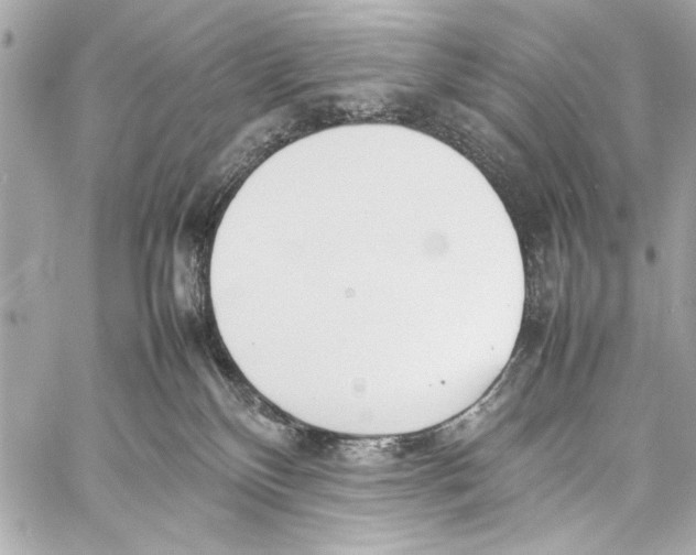 X0000057060136200510071416