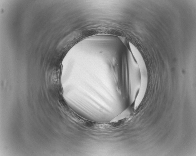 X0000057060137200510071416