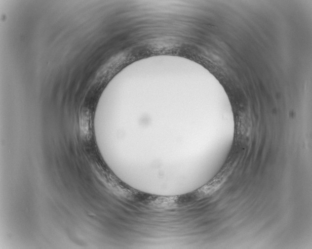 X0000057060138200510071416