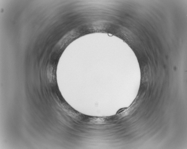 X0000057060140200510071416