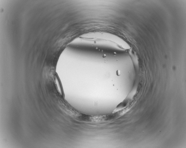 X0000057060141200510071416