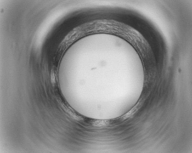 X0000057060142200510071416