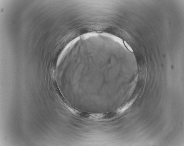 X0000057060143200510071416