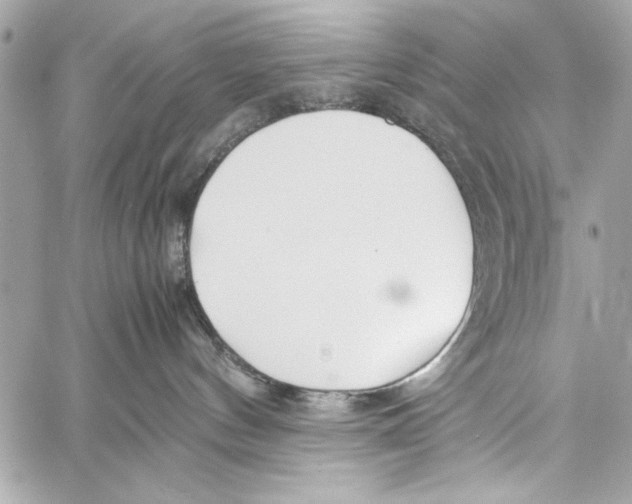 X0000057060144200510071416