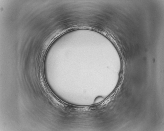 X0000057060145200510071415