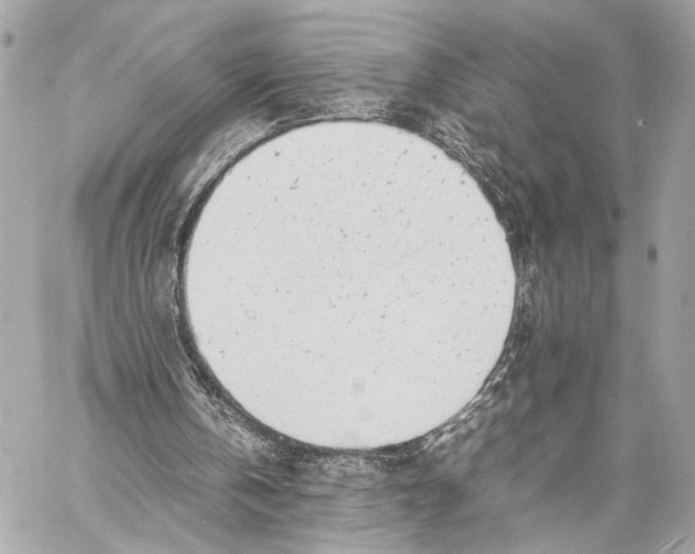 X0000057060146200510071415