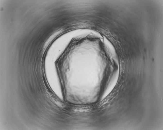 X0000057060147200510071415