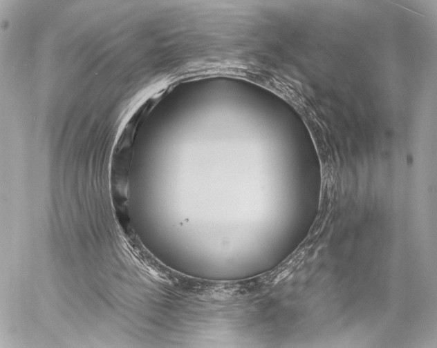 X0000057060148200510071415