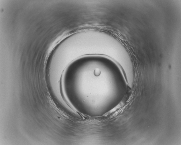 X0000057060150200510071415