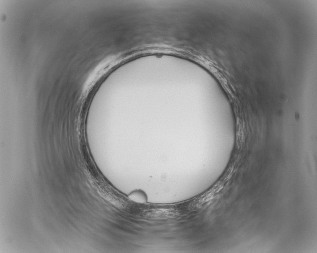 X0000057060151200510071415