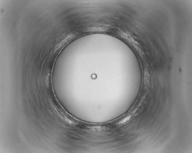 X0000057060153200510071415