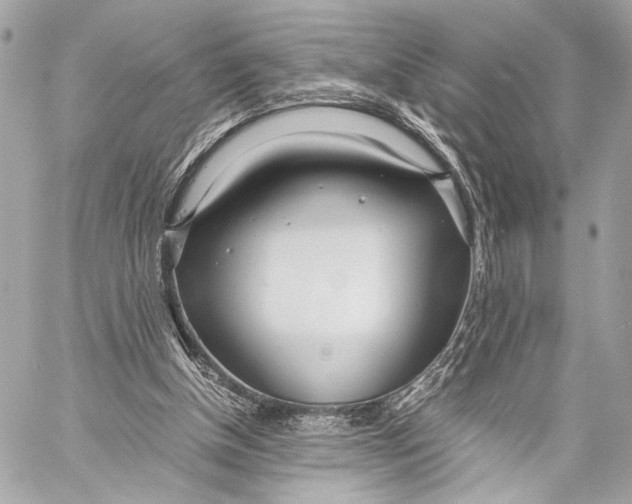 X0000057060154200510071415