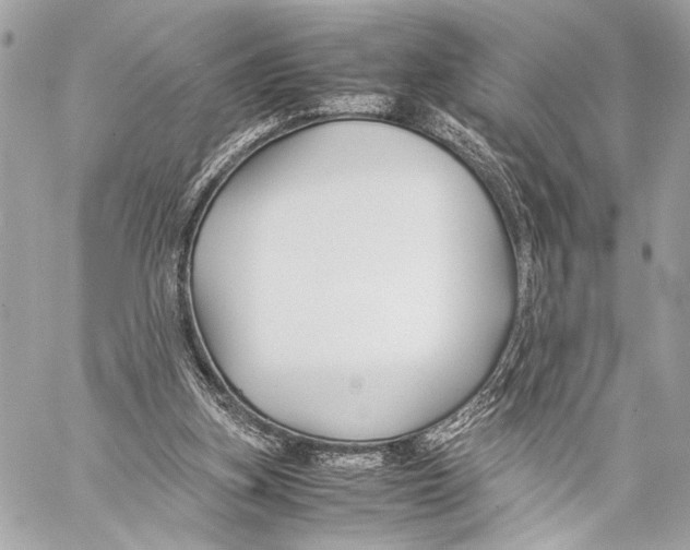 X0000057060155200510071415