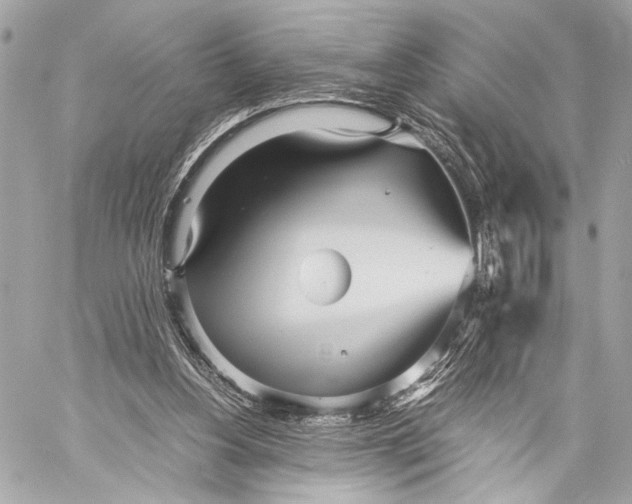 X0000057060156200510071415