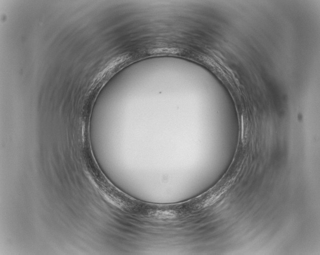 X0000057060157200510071415