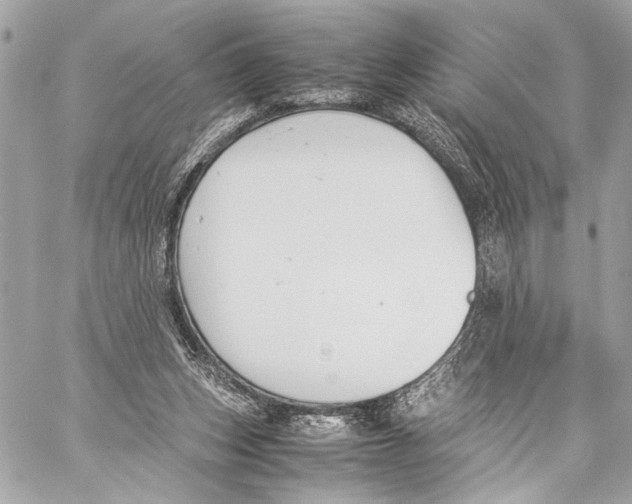 X0000057060159200510071416