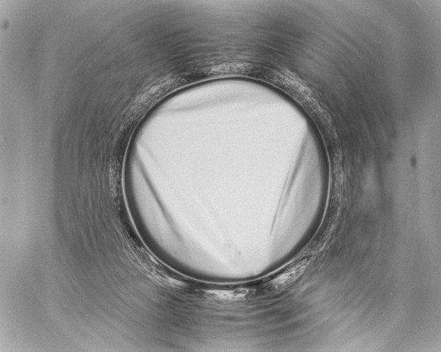 X0000057060161200510071416