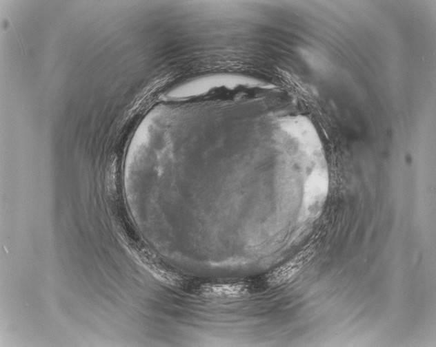 X0000057060163200510071416